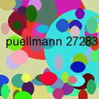 puellmann 27283 verden aller impressum hrb 503