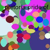 pretoria pride of india