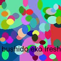 bushido eko fresh song text